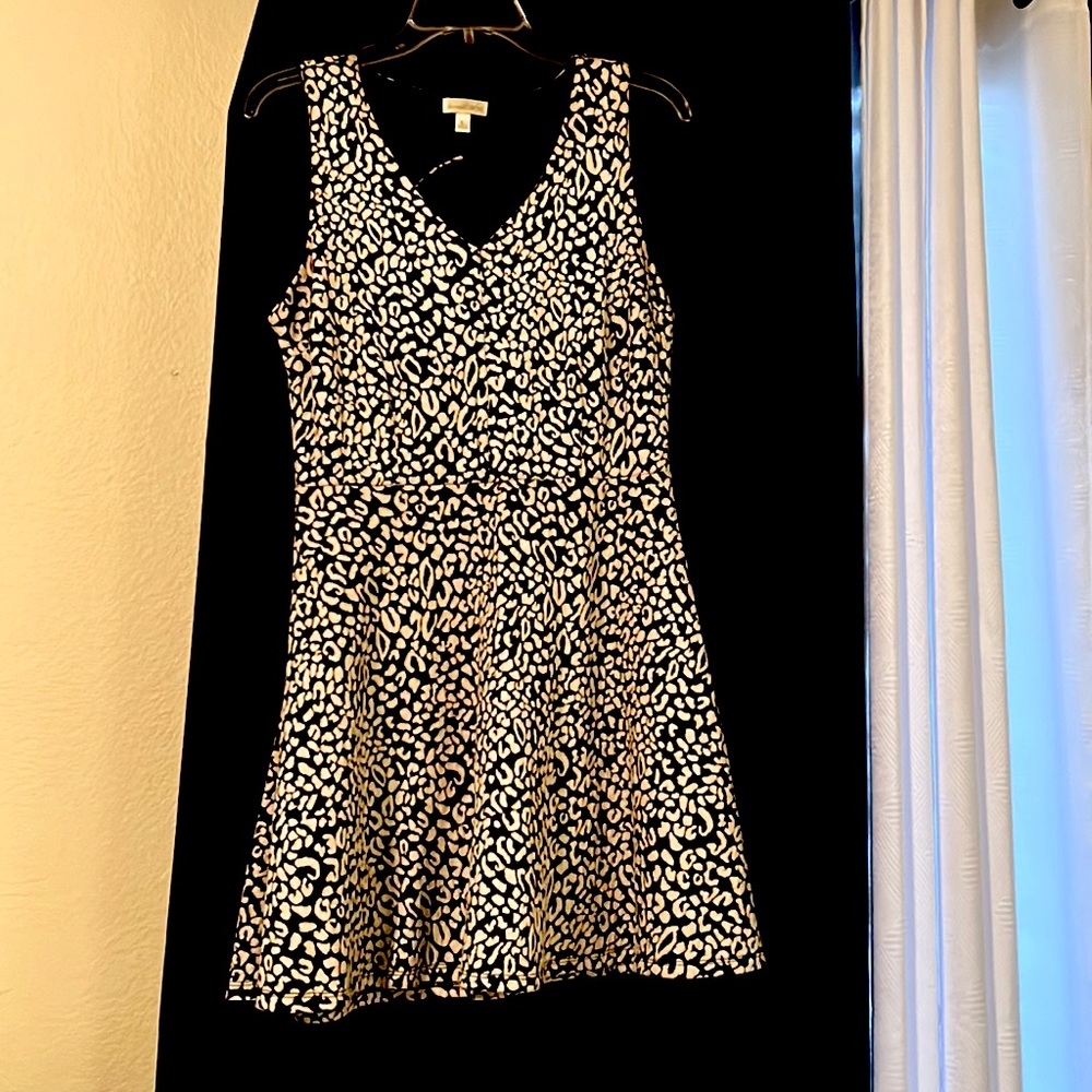 Charming Charlie’s Dress